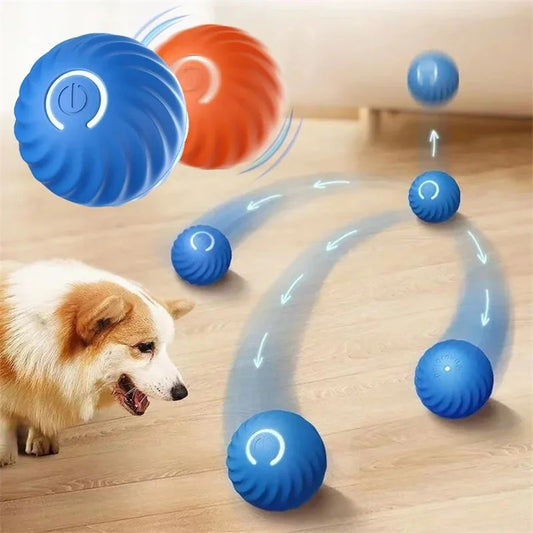 Balle pour Chien - Intelligente™
