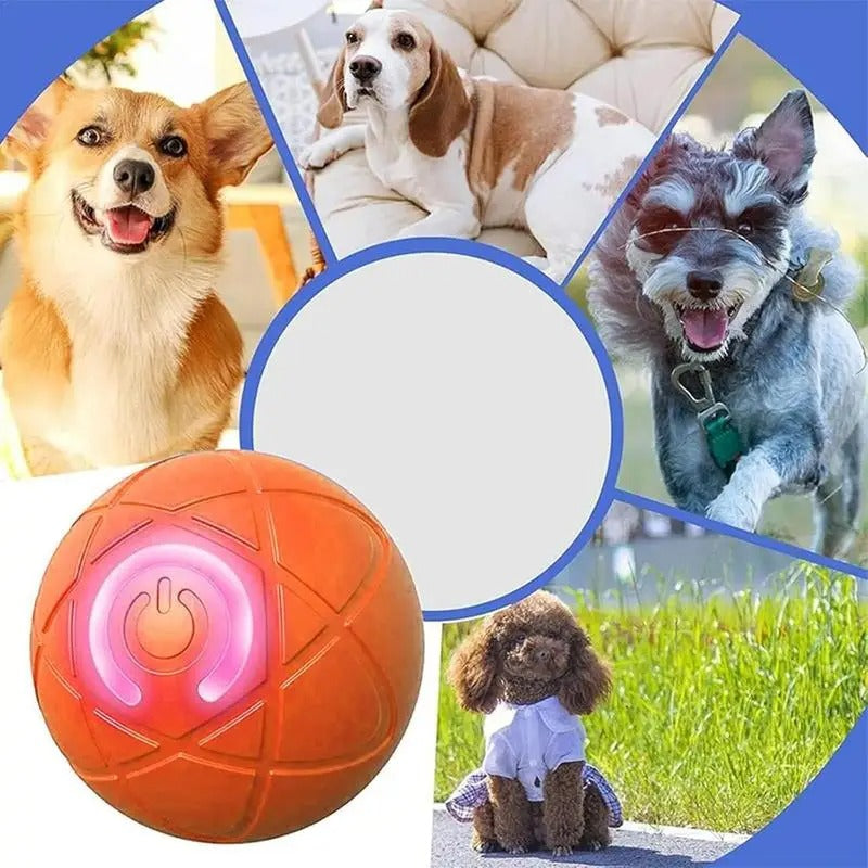Balle pour Chien - Intelligente™