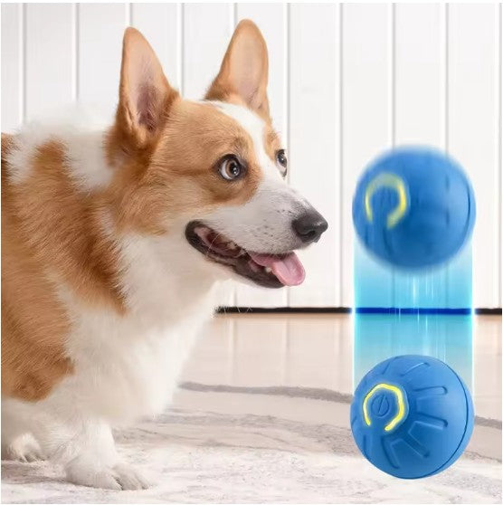 Balle pour Chien - Intelligente™