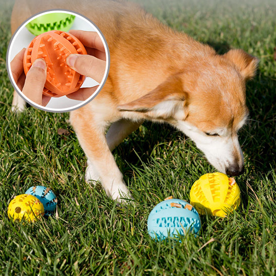 Balle pour Chien - MacheBalle™