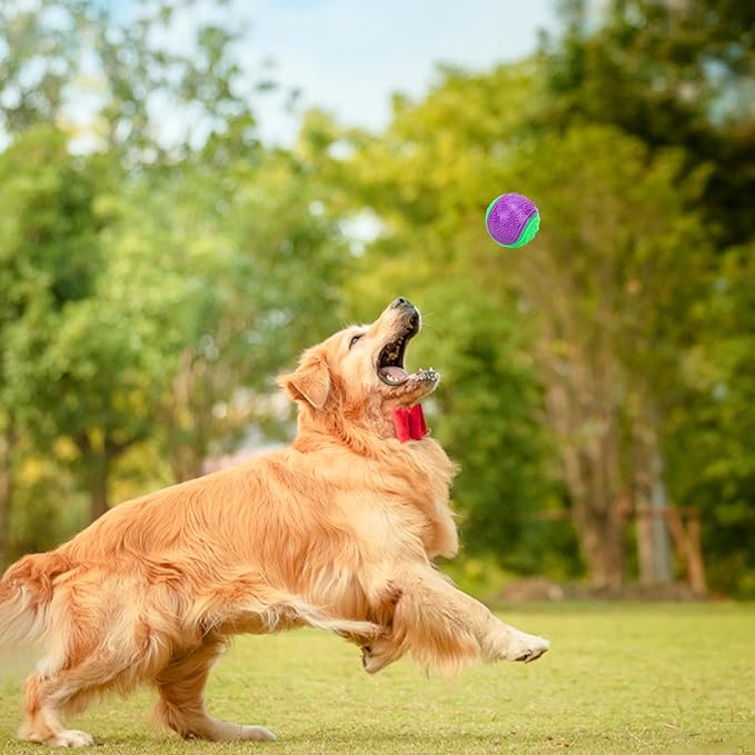Balle pour Chien - Mordiboule™