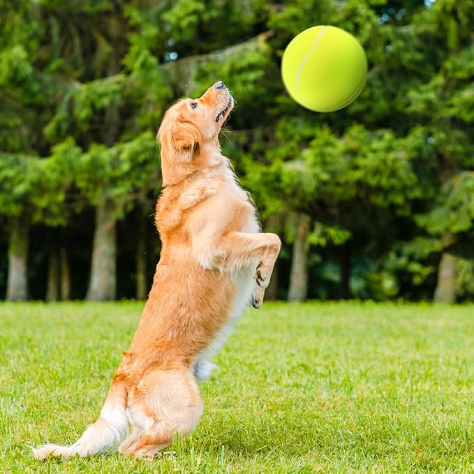 Balle pour Chien - Tennichienâą
