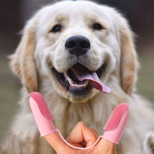 Brosse a dent Chien - DouceDent'Duo™