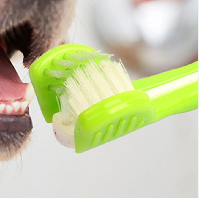 Brosse Ă  dents pour Chien - TripleBrossâą