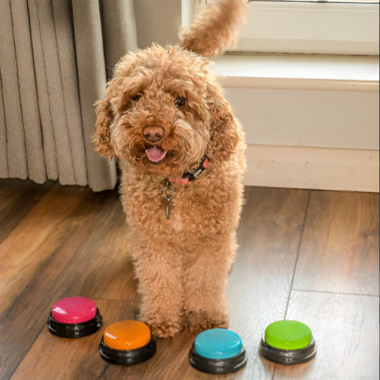 Clic d'apprentissage – DressClic™
