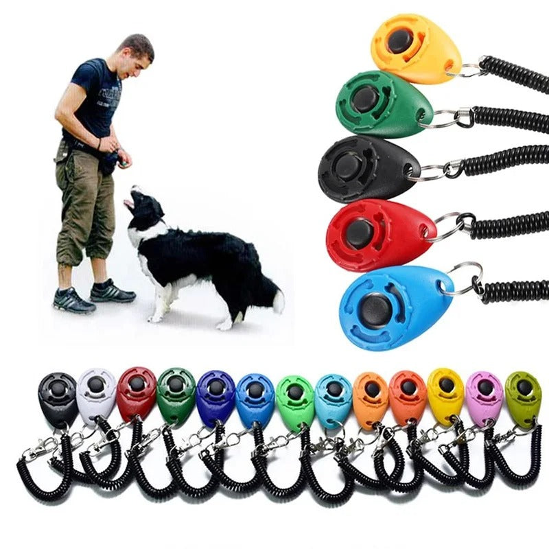 Dressage Chien - CliqDress™