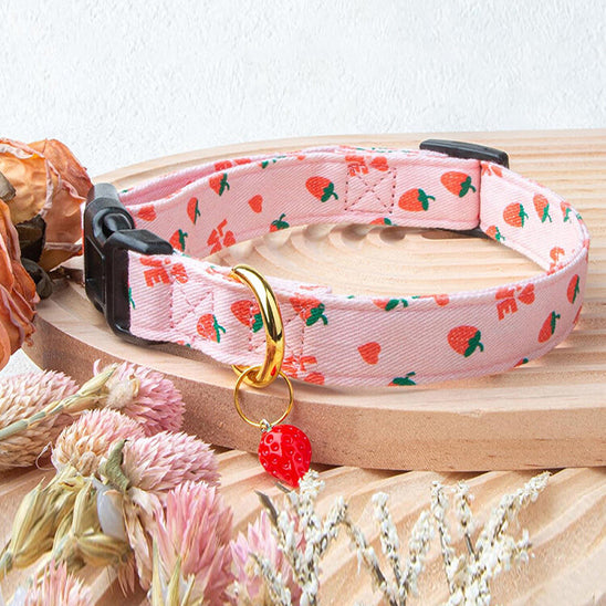 Collier pour Chien - FruiStyle™