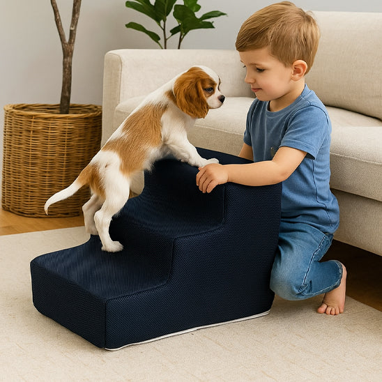 Escalier pour Chien - Conforpattesâą