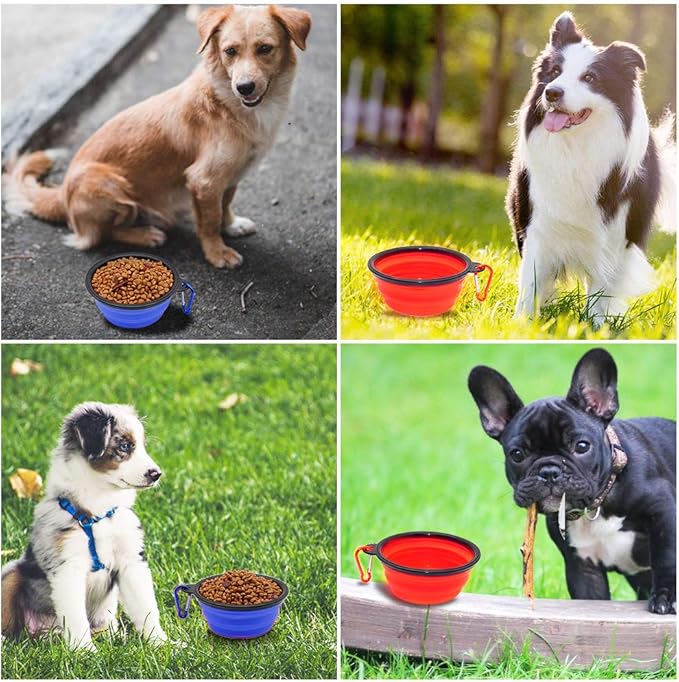 Gamelle Chien Pliable - PliâToutouâą