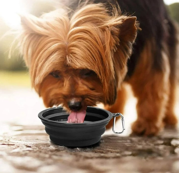 Gamelle Chien Pliable - PliâToutouâą