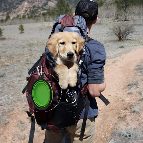 Gamelle Chien Pliable - PliâToutouâą