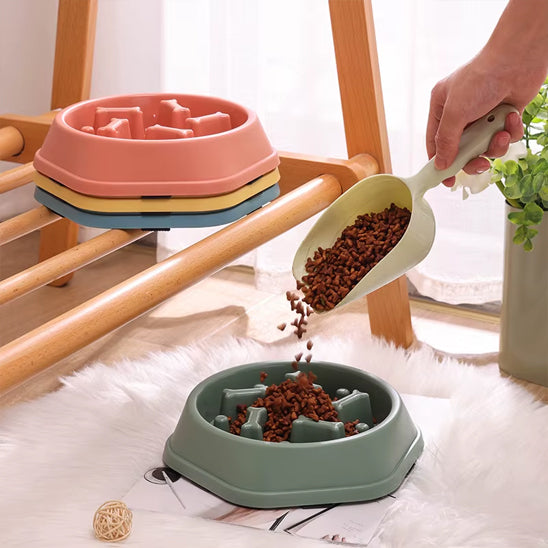 Gamelle pour chien - Croq'Lent™