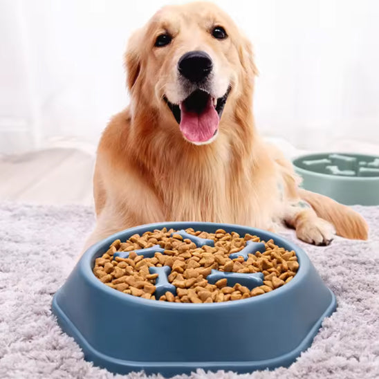 Gamelle pour chien - Croq'Lent™