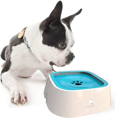 Gamelle pour chien - SplashStopâą