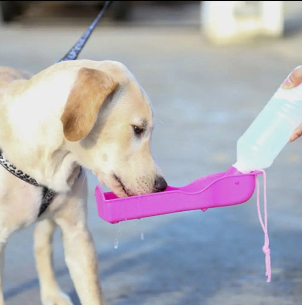 Gourde pour Chien - HydroPatteâą