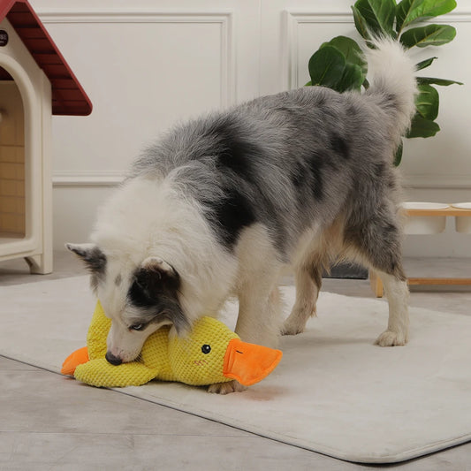 Jouet pour Chien - CanardZen™