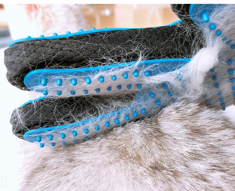 Brosse pour Chien - Toilett'Zenâą