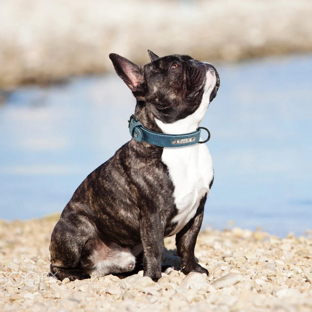 Collier Chien PersonnalisĂ© - WoufâTagâą