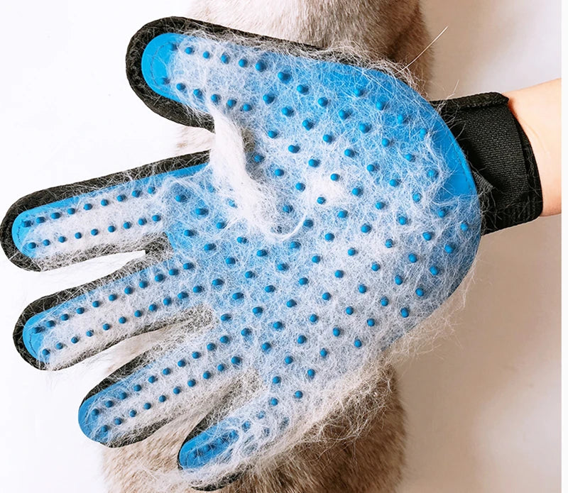 Brosse pour Chien - Toilett'Zenâą