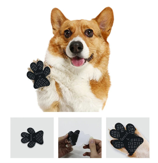 Coussinet Chien - Patounes™