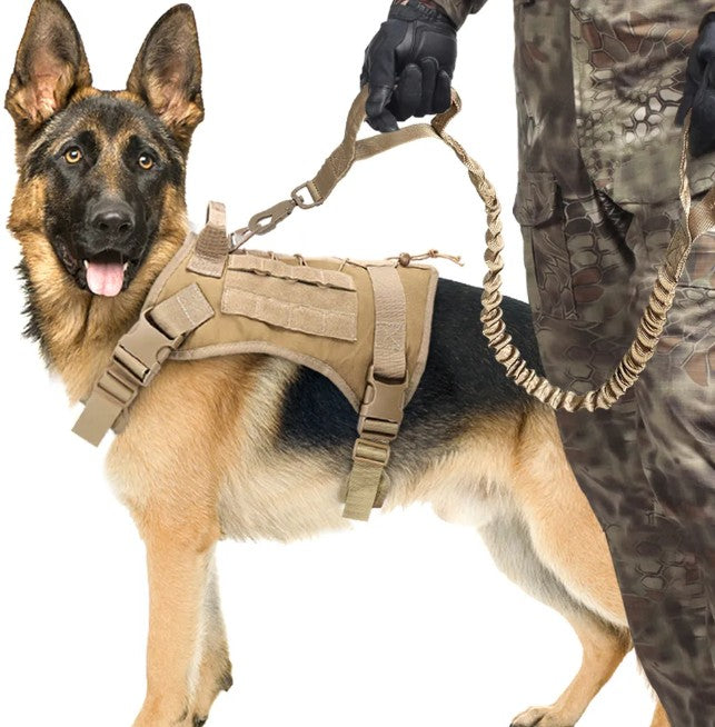 Laisse Chien - FlexiForce™