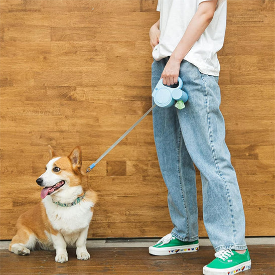 Laisse pour Chien - Lunatrax™