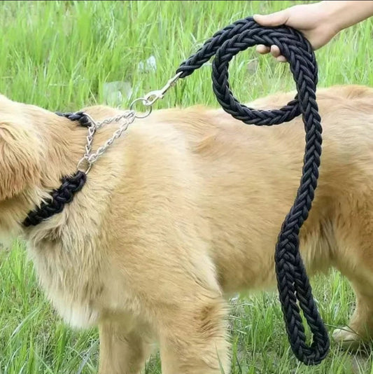 Laisse pour Chien - Robuste™