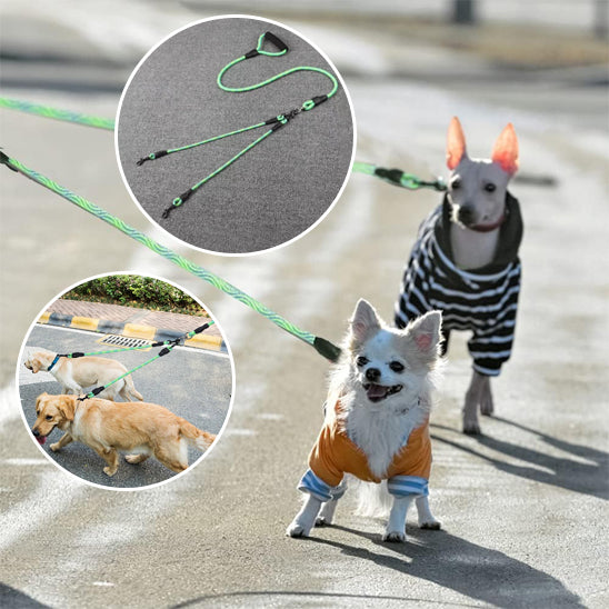 Laisse pour chien - DuoGripâą