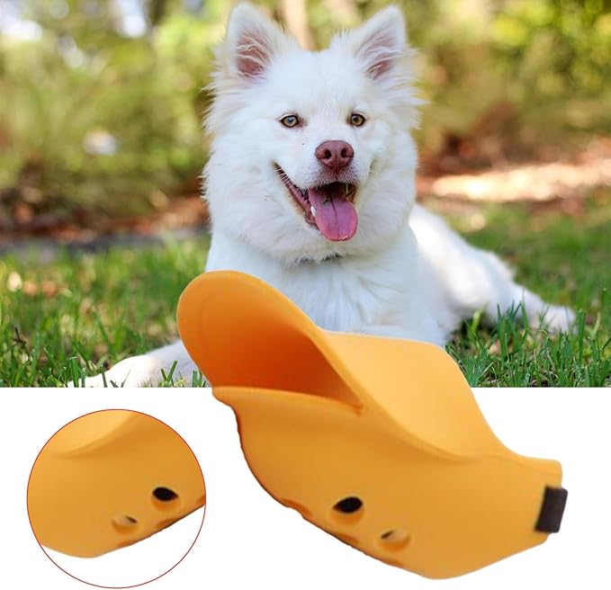 Muselière Chien - BecDou™