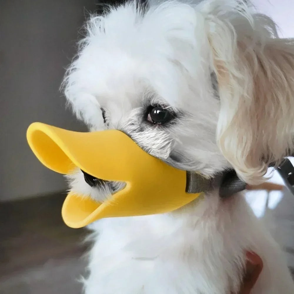 Muselière Chien - BecDou™