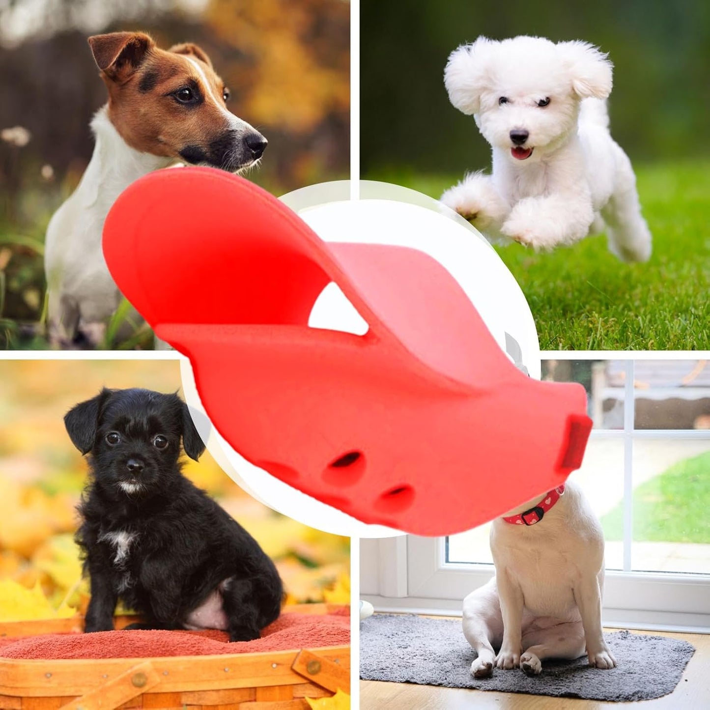 Muselière Chien - BecDou™
