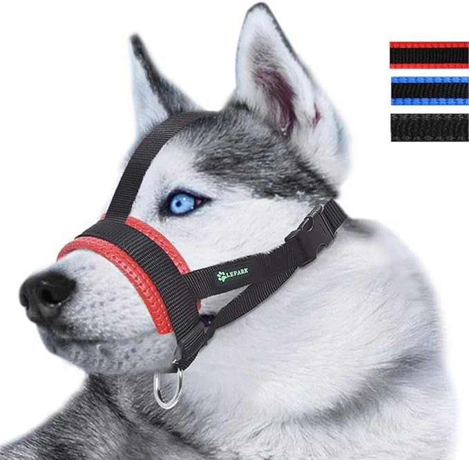 Muselière Chien - ÉduMuse™