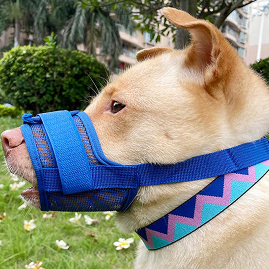 Muselière Chien - MuseSûre™