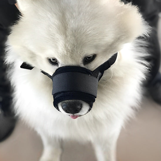 Muselière Chien - MuseSûre™