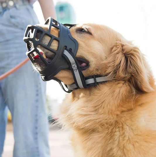 Muselière Chien - ZenMuse™