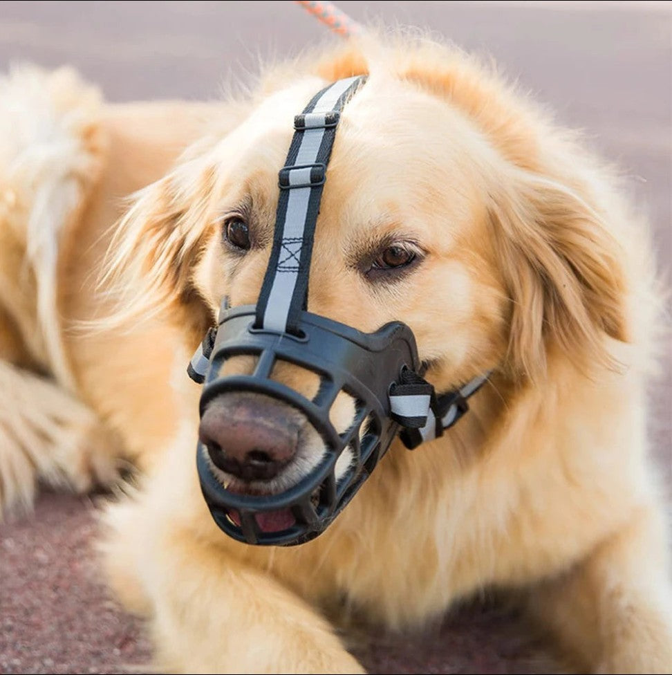 Muselière Chien - ZenMuse™