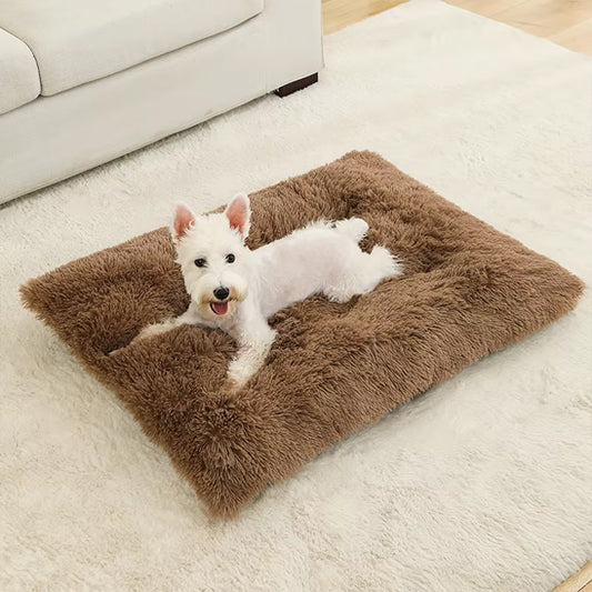 Panier Chien - CoussinConf™