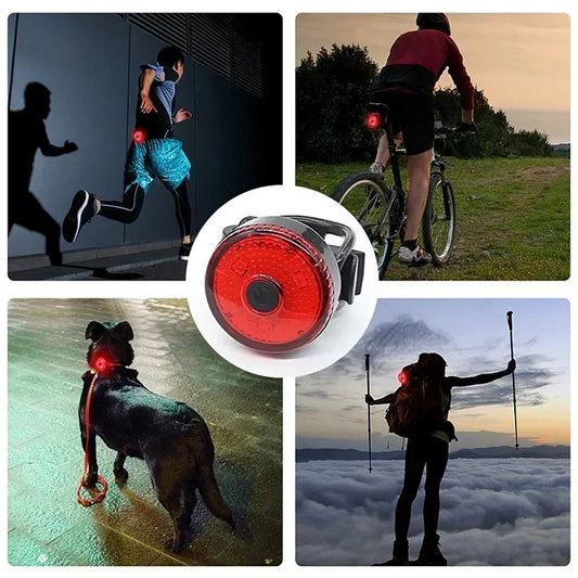 Collier lumineux pour Chien - LumoCollierâą