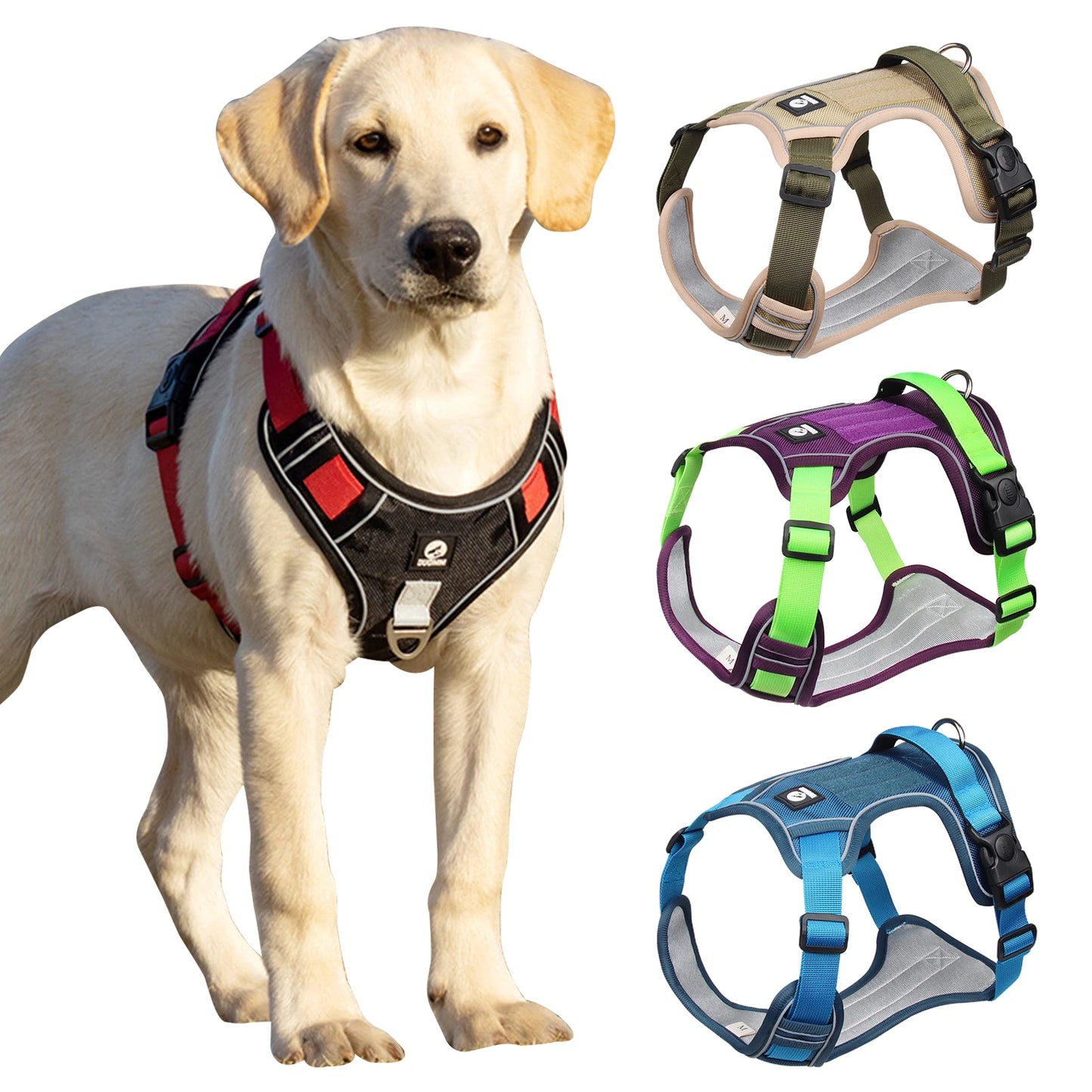 Harnais pour Chien - HarnaisZenâą