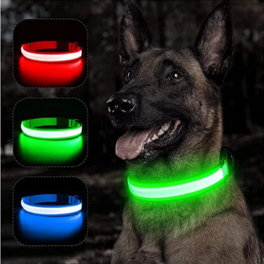 Collier lumineux pour chien-LumiCaninâą