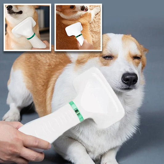 Sèche cheveux pour Chien - BreezePoil™