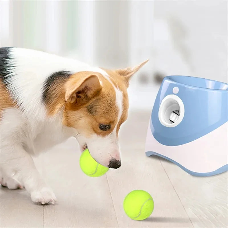Lance-balle-Chien-CaniLance-Divertissant