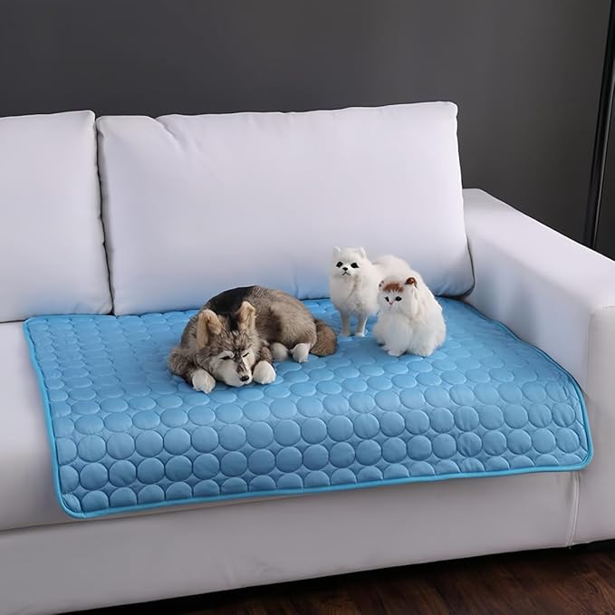 Tapis Rafraichissant Chien - FraisToutouâą
