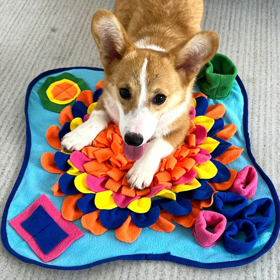 Tapis de fouille Chien - Fouillouâą