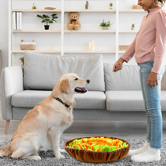 Tapis de fouille Chien - Reniflix™