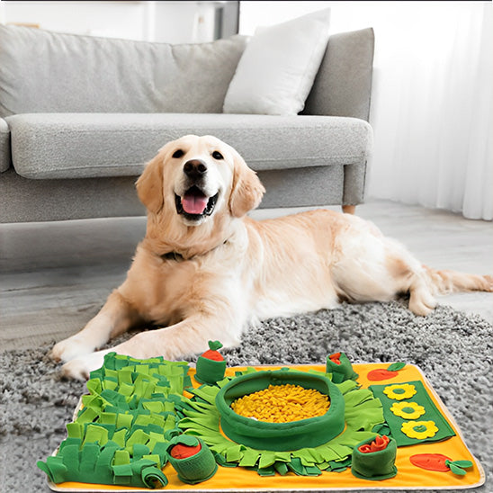 Tapis de fouille Chien - TrouvTout™