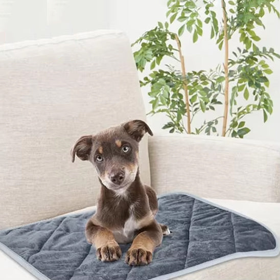 Tapis pour Chien - Chaudouillet™