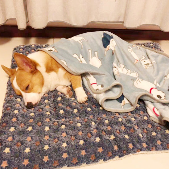 Tapis pour Chien - Nidouâą