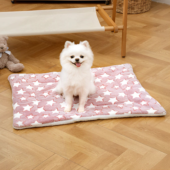 Tapis pour Chien - Nidouâą