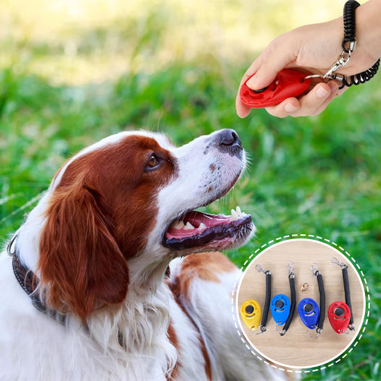 Dressage Chien - CliqDress™